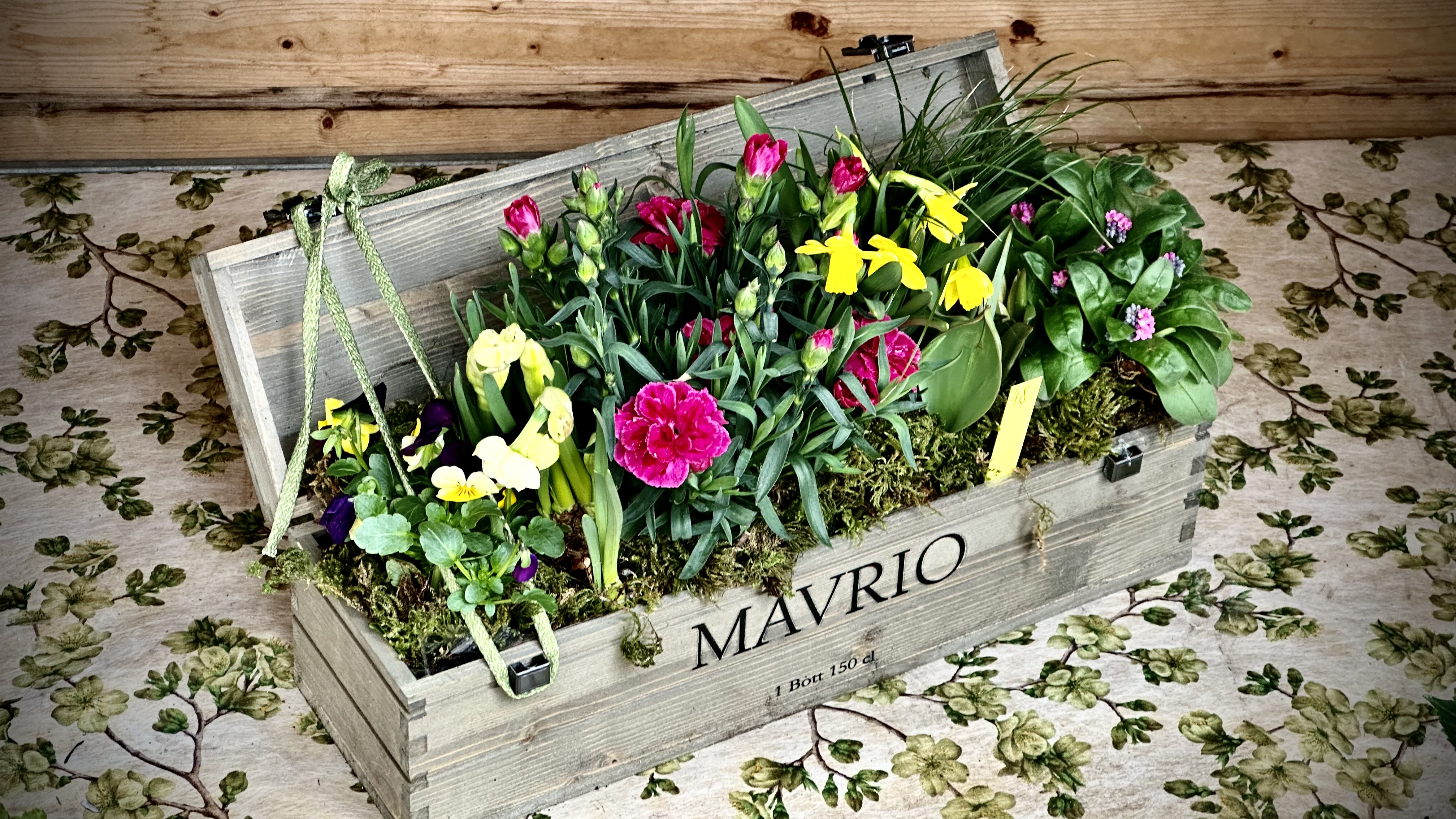 Bepflanzte Weinkiste